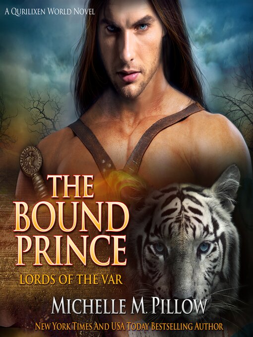 Cover image for The Bound Prince